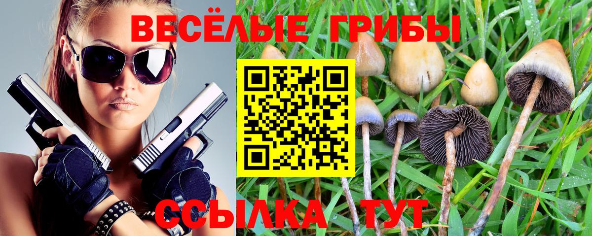 Псилоцибиновые грибы мицелий Слободской