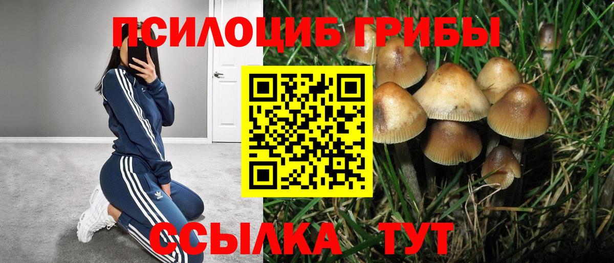 Псилоцибиновые грибы Cubensis  Псилоцибиновые грибы Magic Shrooms  Вход с VPN  Слободской 