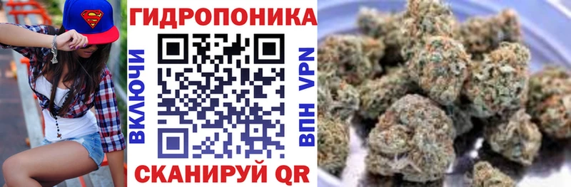 Бошки марихуана гибрид  магазин  наркотиков  Слободской 